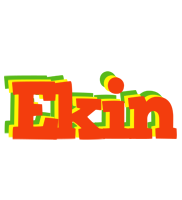 Ekin bbq logo