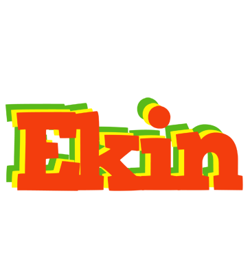 Ekin bbq logo