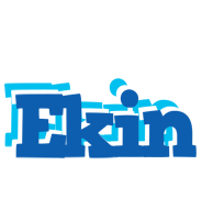 Ekin business logo