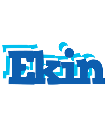 Ekin business logo