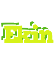 Ekin citrus logo