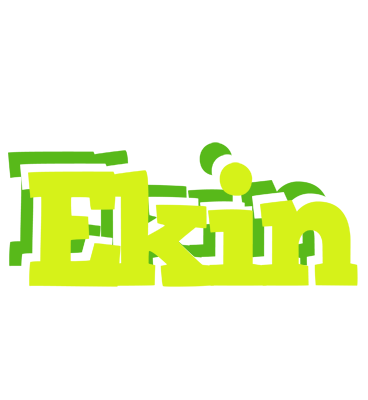 Ekin citrus logo