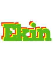 Ekin crocodile logo