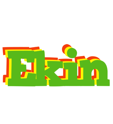 Ekin crocodile logo