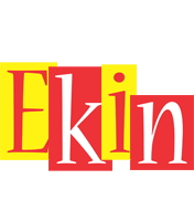 Ekin errors logo