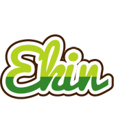 Ekin golfing logo