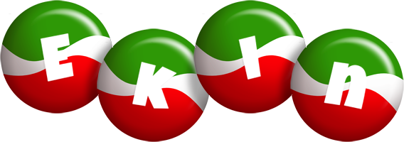 Ekin italy logo