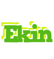 Ekin picnic logo