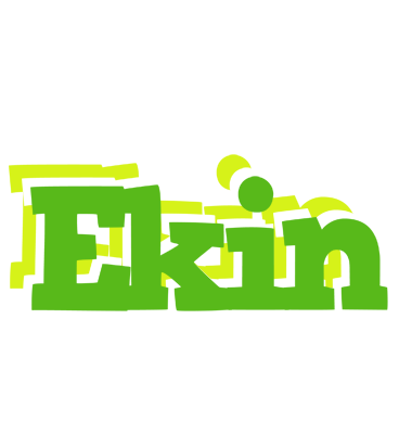 Ekin picnic logo