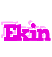 Ekin rumba logo