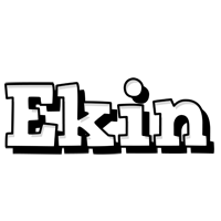 Ekin snowing logo