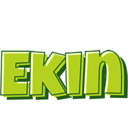 Ekin summer logo