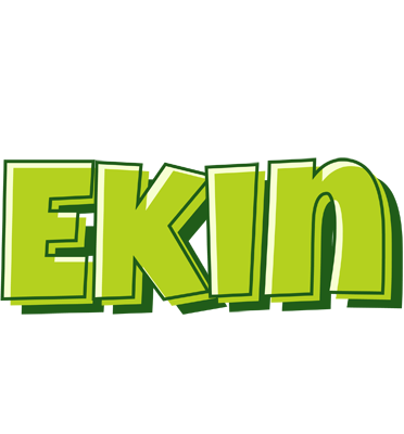 Ekin summer logo