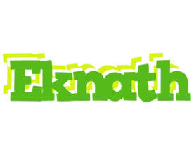 Eknath picnic logo