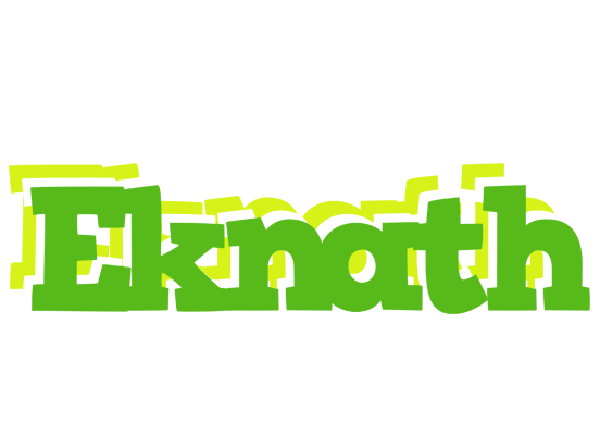 Eknath picnic logo