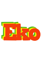 Eko bbq logo