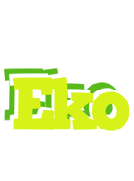 Eko citrus logo