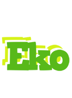 Eko picnic logo