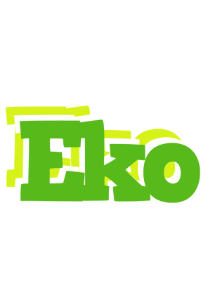 Eko picnic logo