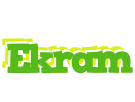 Ekram picnic logo