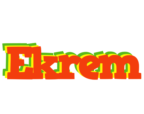 Ekrem bbq logo