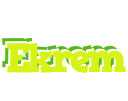 Ekrem citrus logo