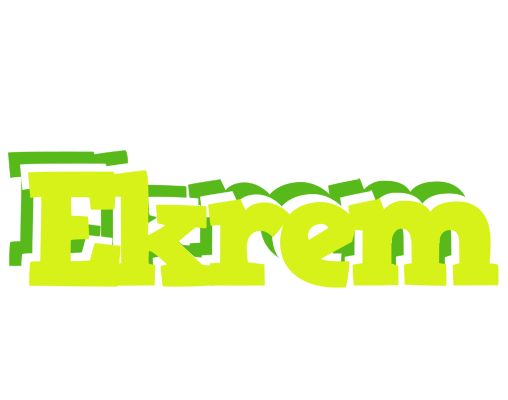 Ekrem citrus logo