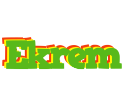 Ekrem crocodile logo