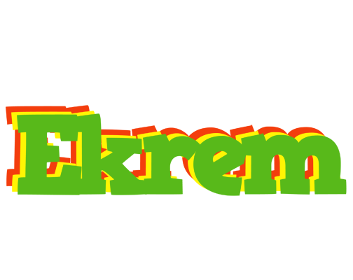 Ekrem crocodile logo
