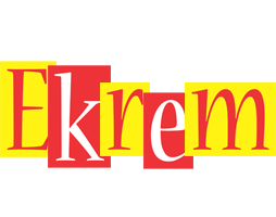 Ekrem errors logo