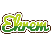 Ekrem golfing logo