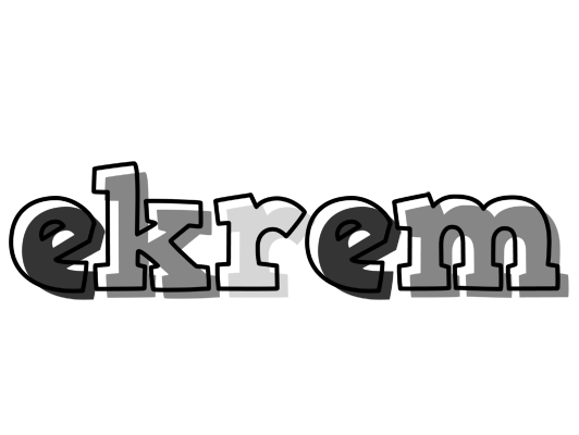 Ekrem night logo