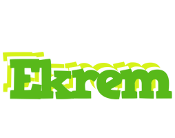 Ekrem picnic logo