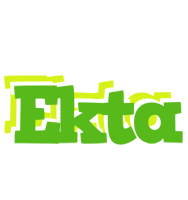 Ekta picnic logo