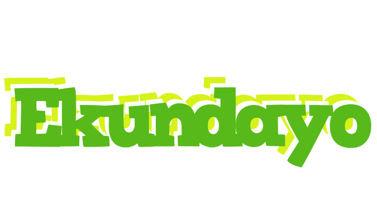Ekundayo picnic logo