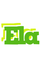 Ela picnic logo