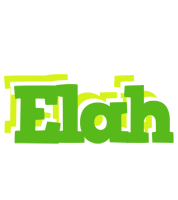Elah picnic logo