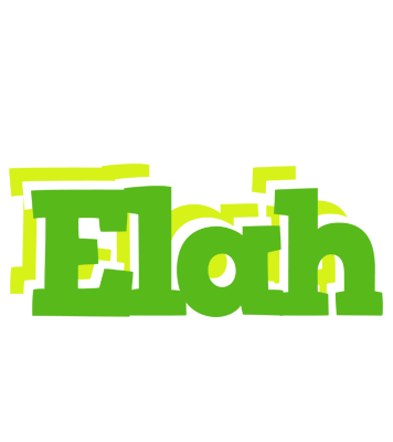 Elah picnic logo