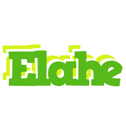 Elahe picnic logo