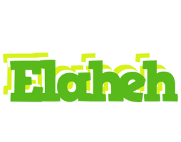 Elaheh picnic logo