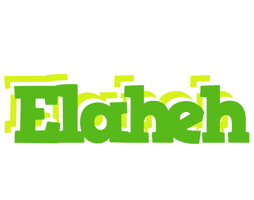 Elaheh picnic logo