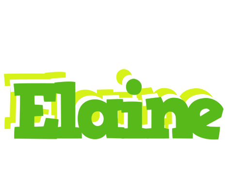 Elaine picnic logo