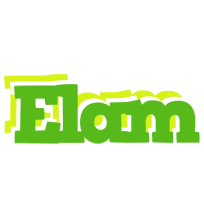 Elam picnic logo