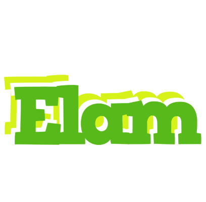 Elam picnic logo