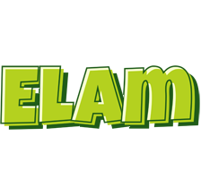 Elam summer logo