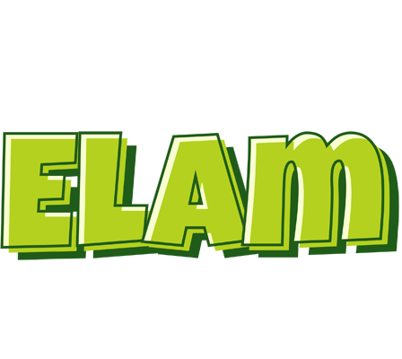 Elam summer logo