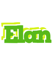 Elan picnic logo