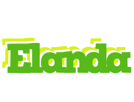 Elanda picnic logo