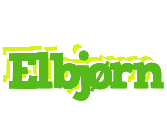 Elbjørn picnic logo