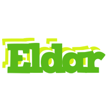 Eldar picnic logo